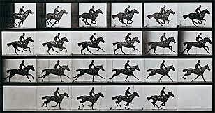 Joseph Plateau, Persistència Retiniana