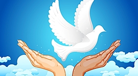 Timeline: Evolución de la educación de la paz