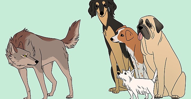 Dogs were officially domesticated