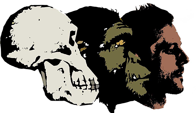 ULIAN HUXLEY, THEODOSIUS DOBZHANSKY Y ERNST MAYR: TEORÍA SINTÉTICA DE LA EVOLUCIÓN.