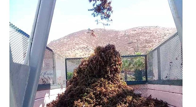 GESTIÓN DE RESIDUOS