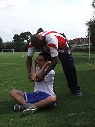 Lineamientos Curriculares