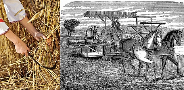 The Agricultural Revolution