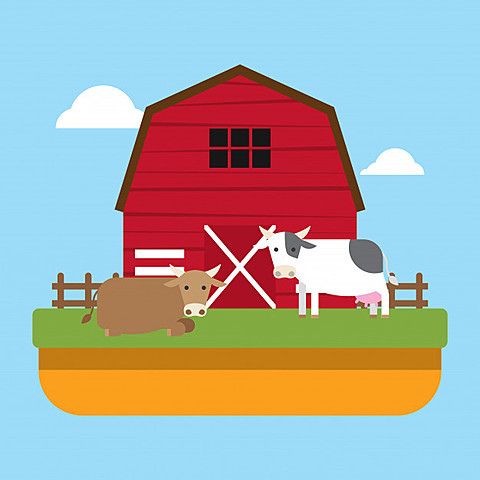 I went to a ranch for the first time