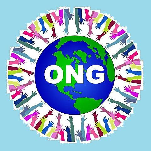 Organizaciones no Gubernamentales