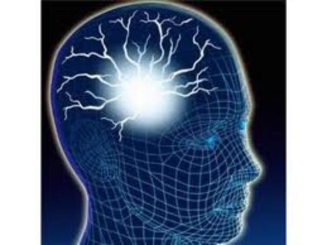 Cibernetica y Biologia