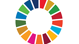 Timeline: Autobiografia_FabiolaP