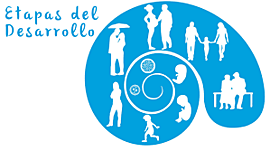 Timeline: Desarrollo evolutivo del ser humano