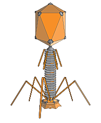 Frederick Twort descubre los bacteriófagos
