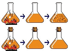 Experimento de Lazzaro Spallanzani