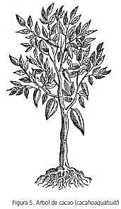 Francisco Javier villa clavijero