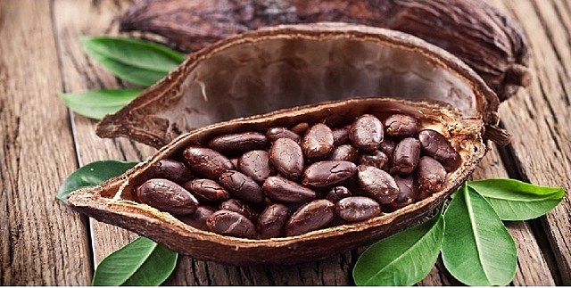 Los vestigios de cacao