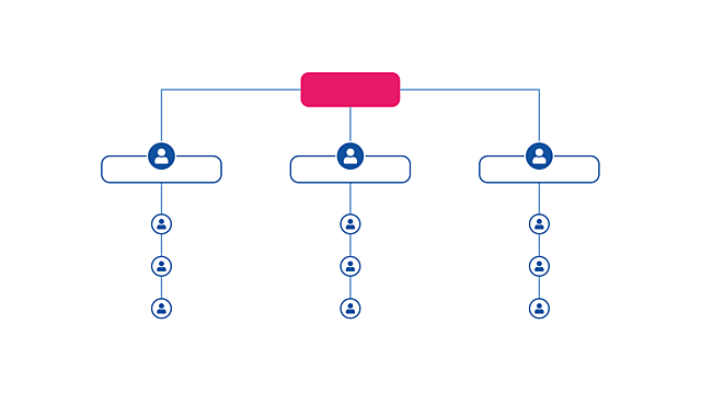 Segundo uso de la estructura organizacional