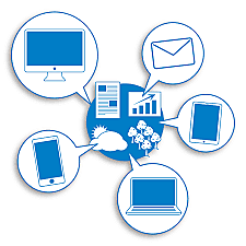 Ley de acceso a la información
