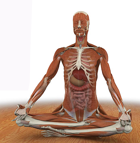 beneficios del yoga fisico