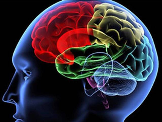 Neuropsicología cognitiva