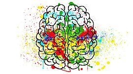 Timeline: Desarrollo de la neuropsicología.