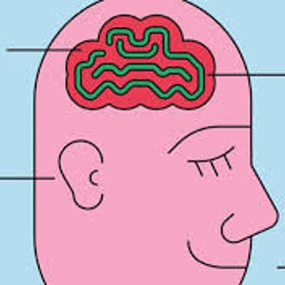 Timeline: Pol Aguilar - Escoles psicològiques