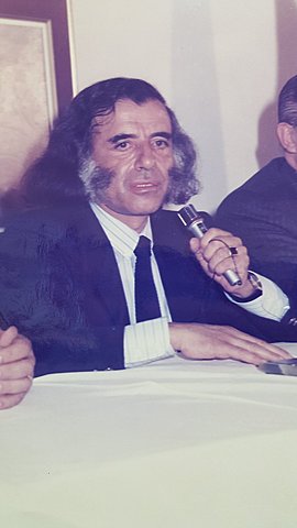 MENEM GOBERNADOR