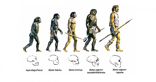 CONCLUSIONES DARWIN SELECCIÓN NATURAL
