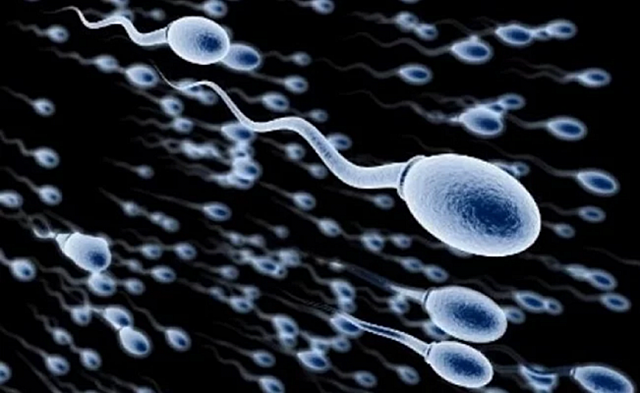 Ritme de creixement s'està desaccelerant