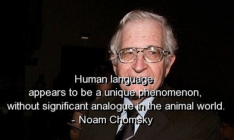 Chomsky describes the influence of language