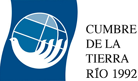 Consejo Empresarial Mundial del Desarrollo Sostenible