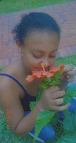 a flower gives you happiness