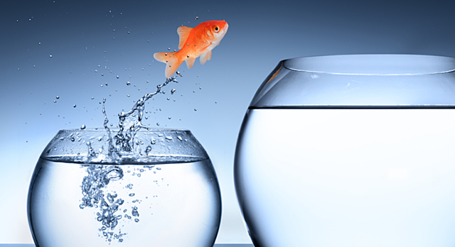 The Structure of Scientific Revolutions