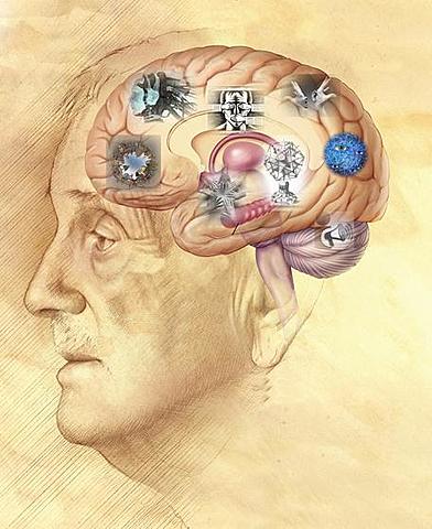 Fundador de la psicología Filosófica funcional evolutiva