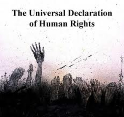 Universal decleration of human rights.