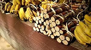 Agricultura y producción de alimentos