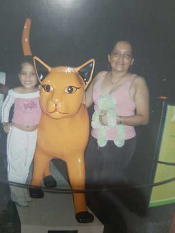 Visiting the cats of the city of Cali.