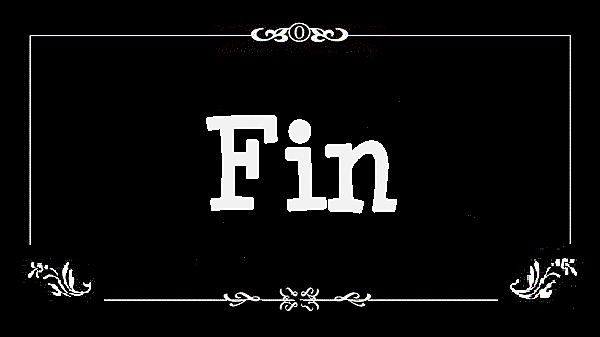 Fin