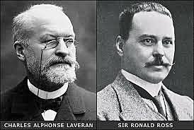 Carlos Laveran y Roland Ross