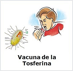 Gastón Ramon, Louis Sauer y Winslow