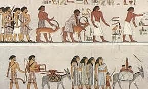 Administración egipcia