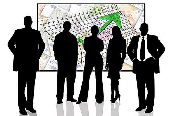 Sociedad de Economia Mixta