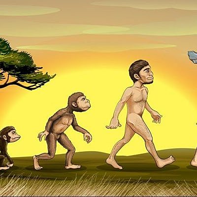 Timeline: Evolución del hombre