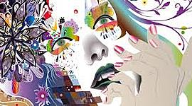 Timeline: Imagenes Vectoriales