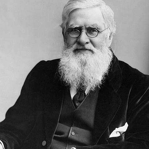 Alfred Russell Wallace