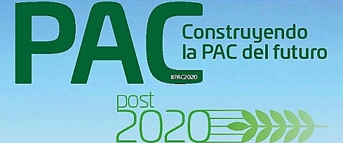 Creación PAC