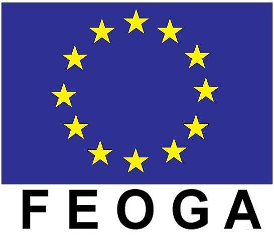 Creación de FEOGA