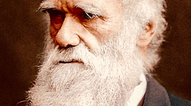 Timeline: La vida de Darwin.
