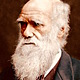 Darwin retrato