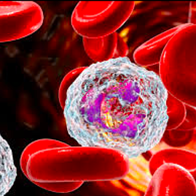 Timeline: Liña temporal de avances científicos relacionados coa Inmunolxía