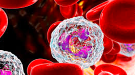 Timeline: Liña temporal de avances científicos relacionados coa Inmunolxía