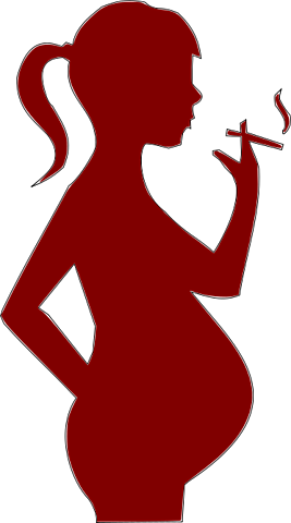 ¿Por que se produce el labio leporino?