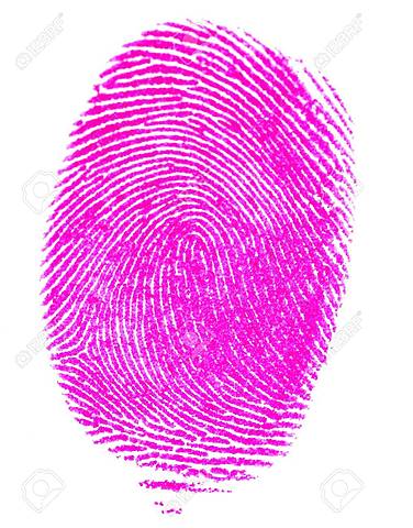 Voto de la mujer en México.