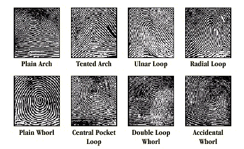 Fingerprint Identification Setup